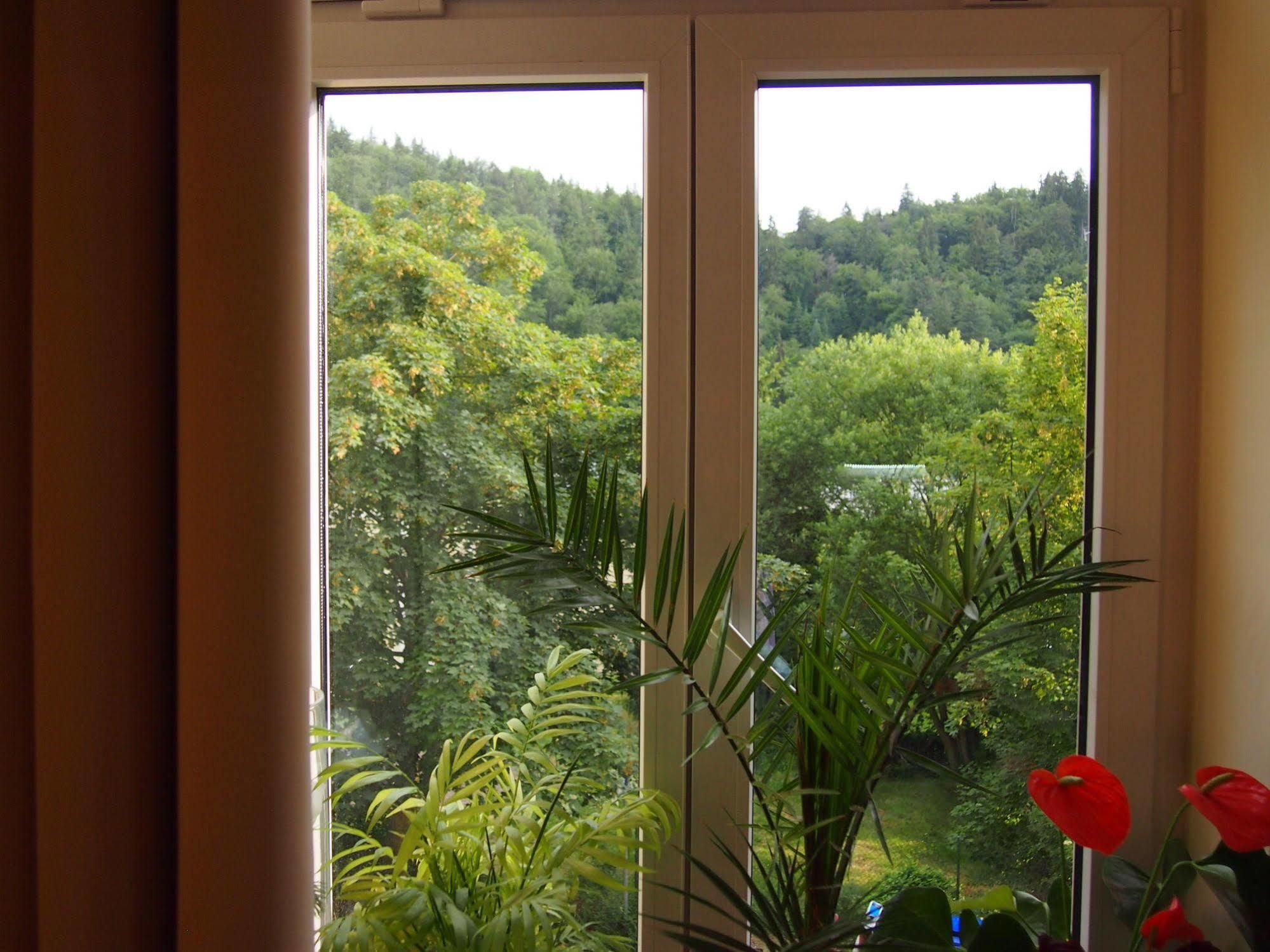 Lyra Apartments Karlovy Vary Dış mekan fotoğraf