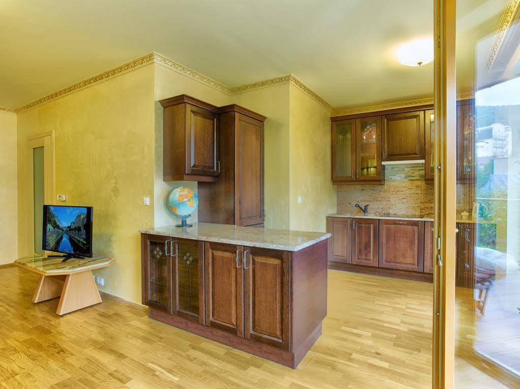Lyra Apartments Karlovy Vary Dış mekan fotoğraf